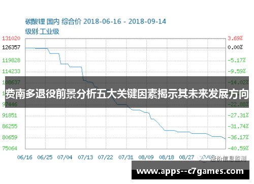 费南多退役前景分析五大关键因素揭示其未来发展方向