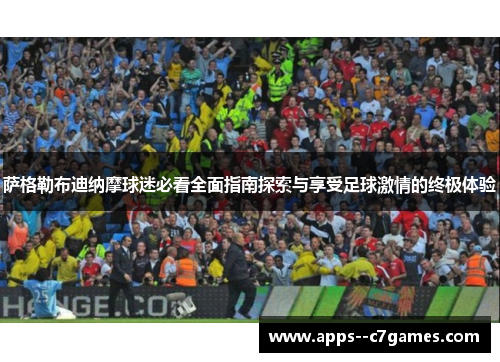 萨格勒布迪纳摩球迷必看全面指南探索与享受足球激情的终极体验
