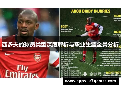 西多夫的球员类型深度解析与职业生涯全景分析