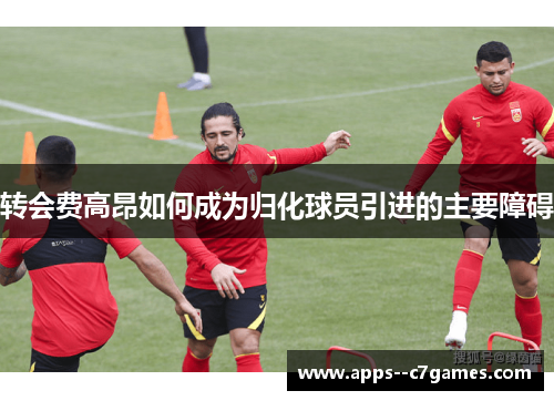 转会费高昂如何成为归化球员引进的主要障碍